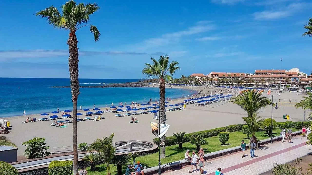 Tenerifeopenhome Luxury Prestige Studio In Playa Las Americas Playa de las Americas  Spain